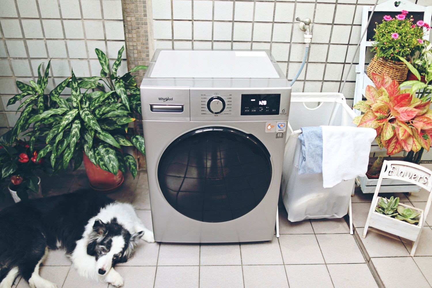 2023年最值得買的8款滾筒洗衣機，讓你洗衣更省心