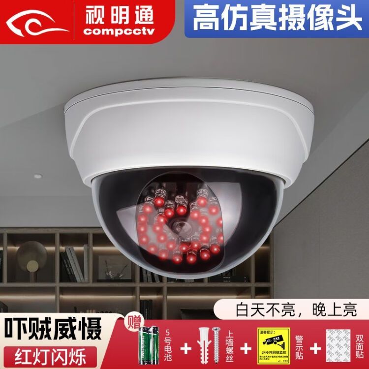 No. 1 - 感應紅外仿真監控器 - 4
