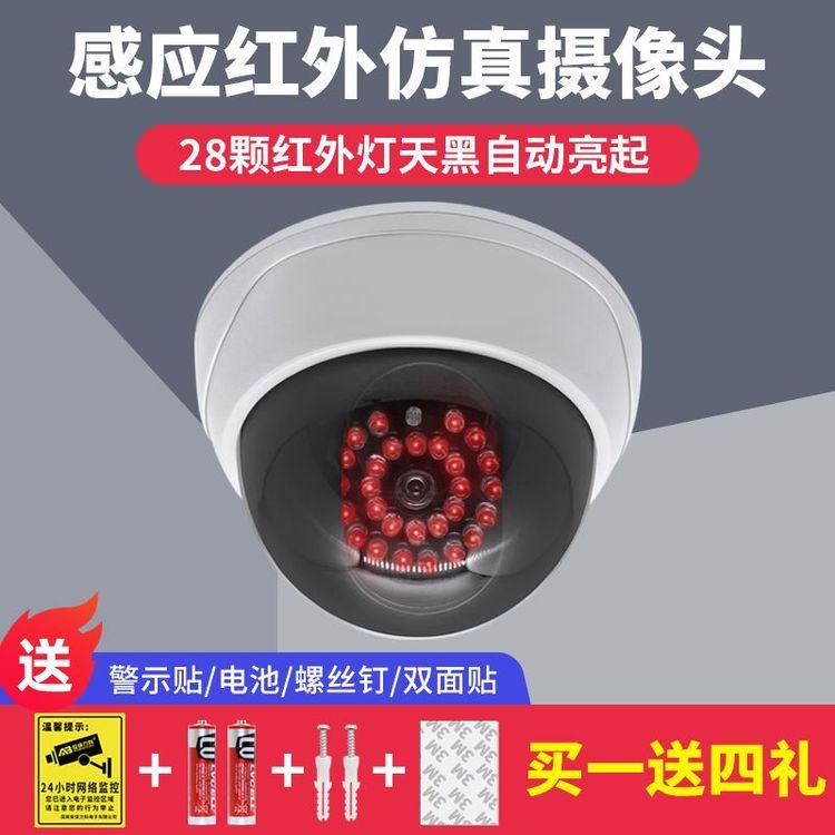 No. 1 - 感應紅外仿真監控器 - 1