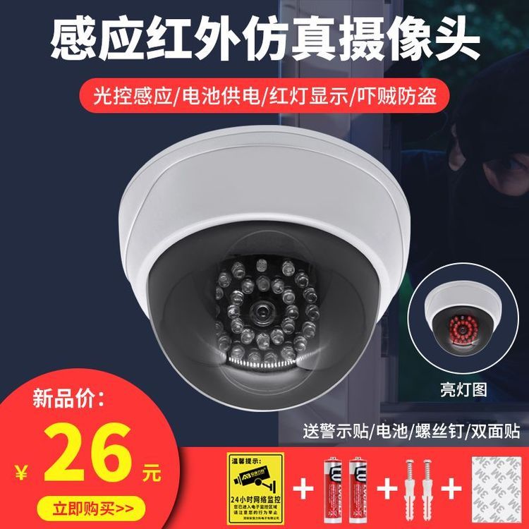 No. 1 - 感應紅外仿真監控器 - 2