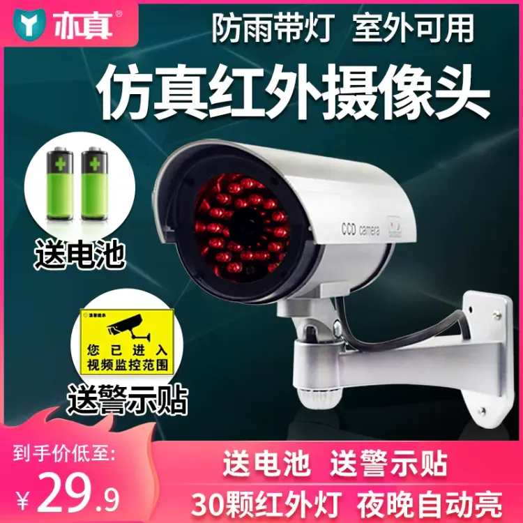 No. 1 - 感應紅外仿真監控器 - 5