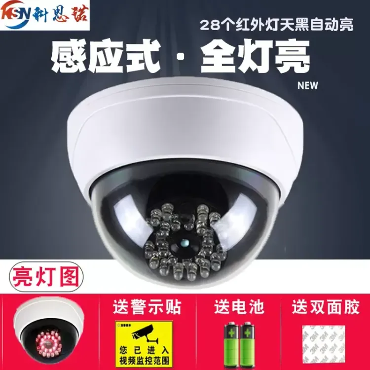 No. 1 - 感應紅外仿真監控器 - 3